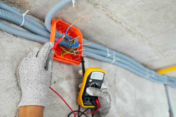 Best Electric Panel Repair  in Park Falls, WI